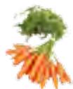 MAGIMIX 18080F - 18081F JUICE EXPERT 3 - FILTRE JUS - 3