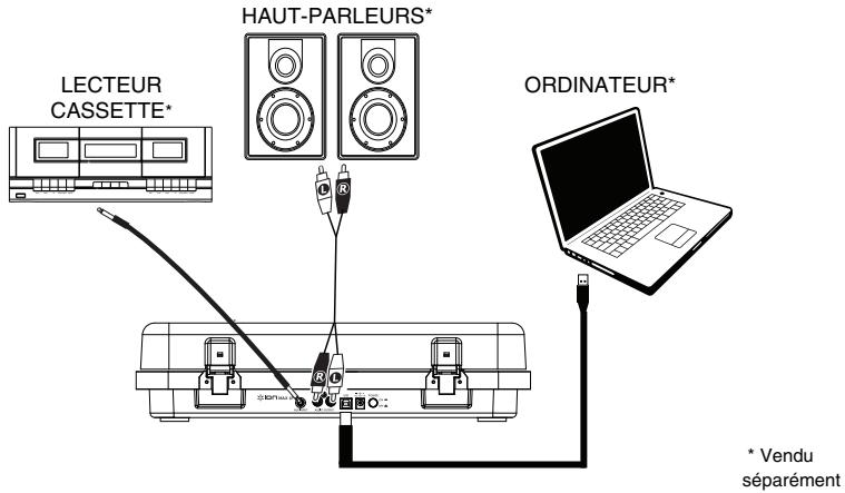 ION MAX LP WOOD AUDIO - Scheme de connexion - 1