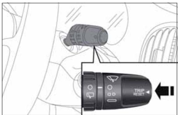 FIAT 500L - BOUTONTRIP - 1