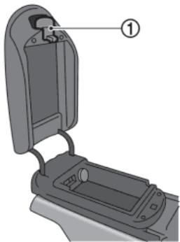 NISSAN GTR NISMO - Avertissement - 2