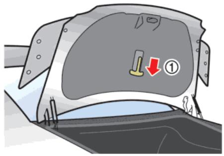 NISSAN GTR NISMO - Remarque : - 1