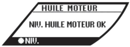 NISSAN GTR NISMO - Affichage d'informations sur le vehicule - 1