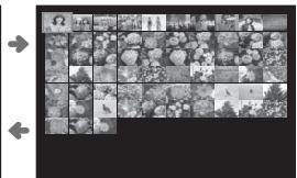 FUJIFILM X-T100 - Multi-Frame Playback - 5