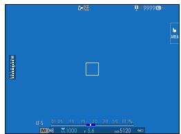 FUJIFILM GFX 100 - LARGE INDICATORS MODE(EVF) - 1