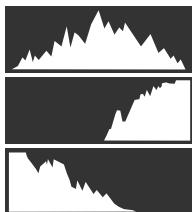 FUJIFILM GFX 100 - - Histograms - 2