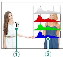 FUJIFILM GFX 100 - - Histograms - 3