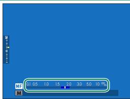 FUJIFILM GFX 100 - The Manual Focus Indicator - 1