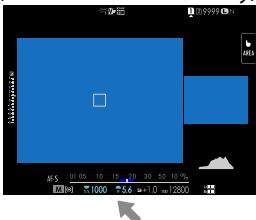 FUJIFILM GFX 100 - Viewfinder - 4