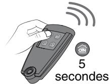 DELTA DORE 6402073 - Pour tester le détecteur : - 2