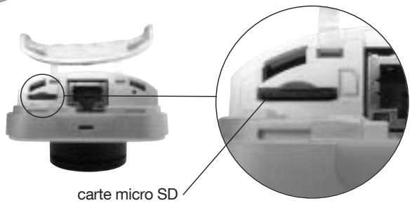 DIAGRAL DIAG21VCX - Branchement de la lampe avec le bloc d'alimentation - 2