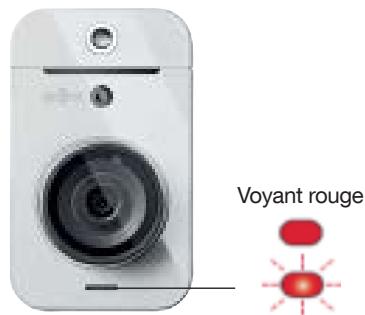 DIAGRAL DIAG21VCX - Signalisation des voyants - 4