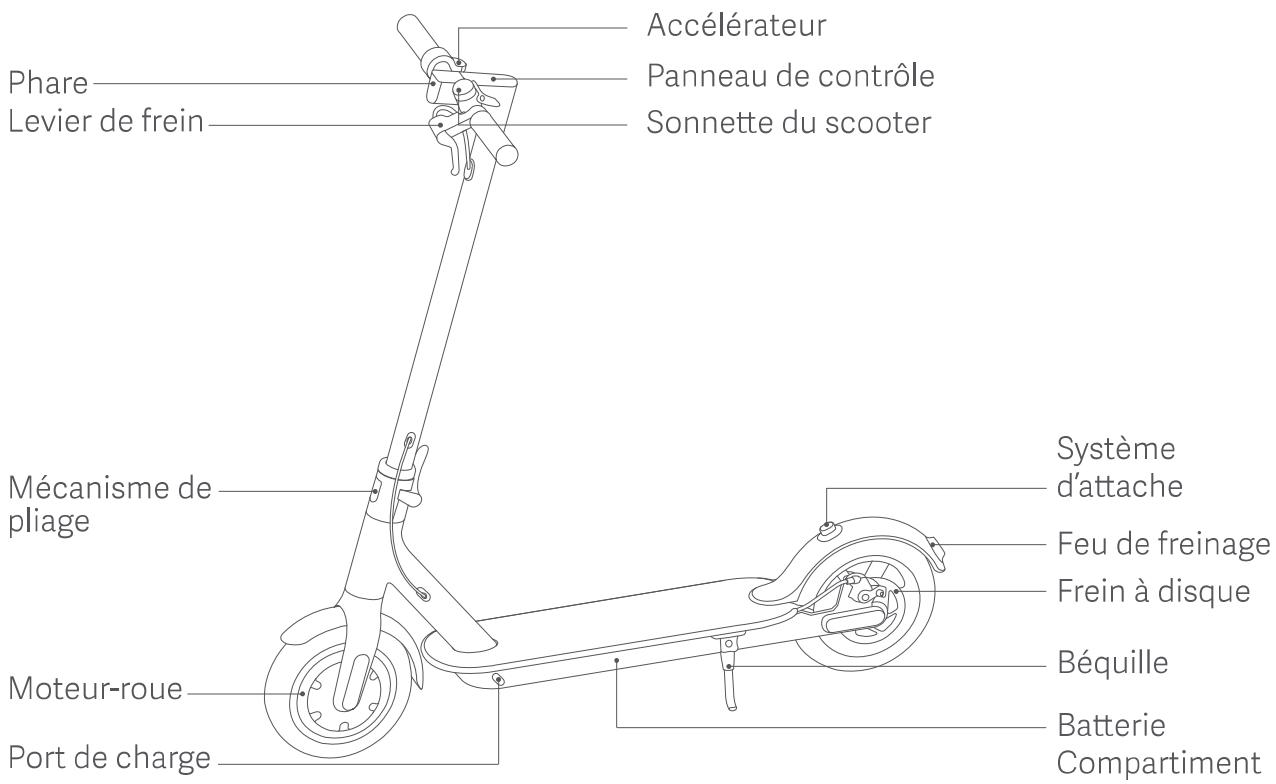 Xiaomi XIAOMI M365 - Présentation du produit - 1