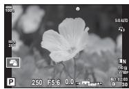 OLYMPUS E-M1 MARK II - Cadre de zoom AF/Zoom AF (Super Spot AF) - 1