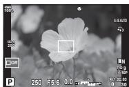 OLYMPUS E-M1 MARK II - Cadre de zoom AF/Zoom AF (Super Spot AF) - 3