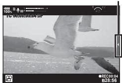 OLYMPUS E-M1 MARK II - Utilisation de la fonction de silence lors de l'enregistrement d'une vidéo - 1