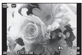 OLYMPUS E-M1 MARK II - Affichage en gros plan - 1