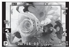 OLYMPUS E-M1 MARK II - Hyperfocus - 1
