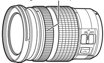 OLYMPUS E-M10 MARK IV - Objectifs avec Activation MM - 1
