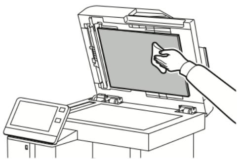 XEROX VERSALINK B615V/X - Nettoyez le dessous blanc du cache-document. - 1