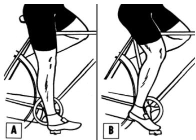 PEUGEOT VTT EM03 - S'assurer que le vélo est à sa taille - 1