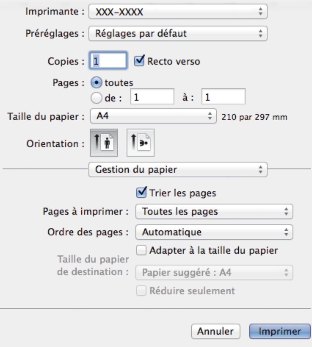 BROTHER HL-L5100DNT - Gestion du papier - 1