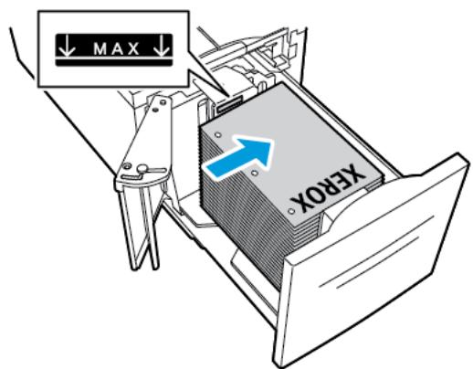 XEROX C9000V - Chargement de papier dans le magasin 6 - 6