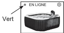 INTEX PURESPA CARBONE OCTOGONAL BULLES ET JETS - INSTRUCTIONS D'UTILISATION (suite) - 2