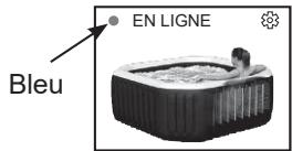 INTEX PURESPA CARBONE OCTOGONAL BULLES ET JETS - INSTRUCTIONS D'UTILISATION (suite) - 3