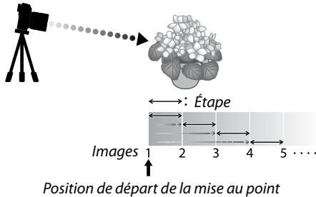 FUJIFILM FUJI X-S10 - -Mise au point et images/etape - 1