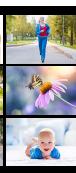 FUJIFILM FUJI X-S10 - Visualisation des photos - 5