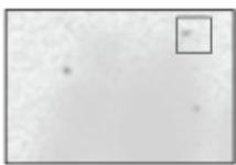 OKI C844DNW - Toute la zone du papier entier est légèrement teintée lors de l'impression sur enveloppe ou papier couché - 1