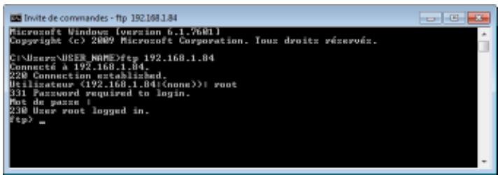 CANON I-SENSYS LBP325X - Saisissez le mot de passe d'administrateur système et appuyez sur la touche [ENTRER]. - 1