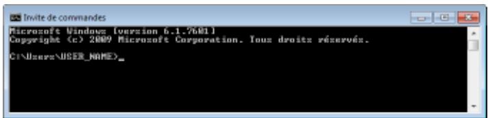 CANON I-SENSYS LBP325X - Copiez un document à imprimer dans le réseau affiché dans l'invite de commandes. - 1