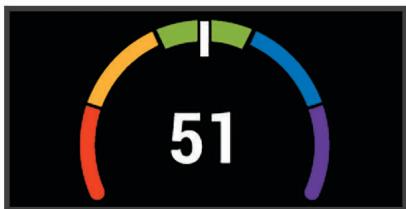GARMIN 530 - Consultation de l'estimation de votre VO2 max. - 1