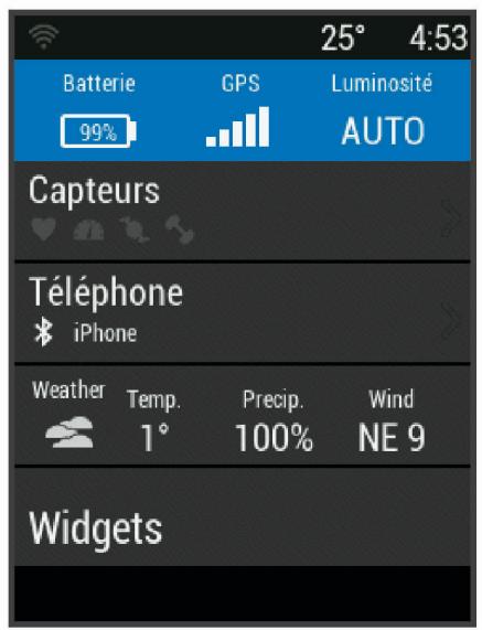 GARMIN 530 - Affichage de la page d'etat - 1