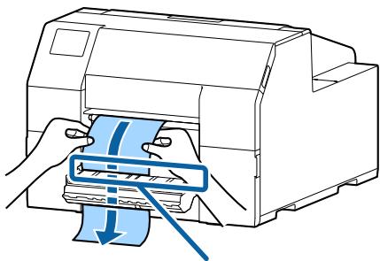 EPSON COLORWORKS CW-C6000AE - Faites passer le papier par la fente du dérouleur. - 1