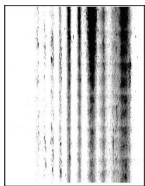 LEXMARK MS331DN - Trainées noires verticales et images manquantes - 1