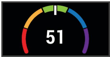 GARMIN 1030 PLUS - Consultation de l'estimation de votre V02 max. - 1