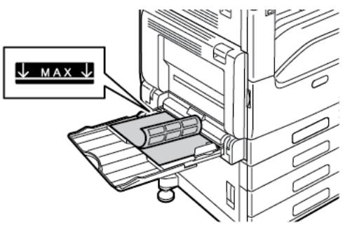 XEROX C7000V - Chargez les étiquettes dans le magasin. - 1