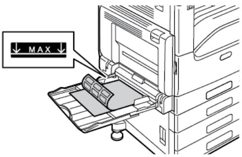 XEROX C7000V - Chargez les étiquettes dans le magasin. - 2