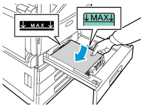 XEROX C7000V - Chargement du papier dans les magasins 1 à 4 - 8