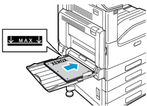 XEROX C7000V - Placez le papier dans le magasin. - 2
