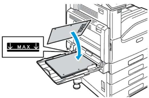 XEROX C7000V - Placez le papier dans le magasin. - 3