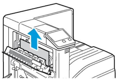 XEROX C7000V - Résolution des incidents papier au niveau de la porte C - 6