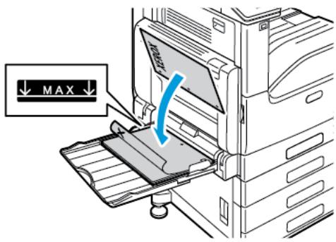XEROX C7000V - Placez le papier dans le magasin. - 1