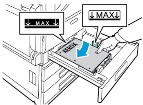 XEROX C7000V - Chargement du papier dans les magasins 1 à 4 - 5