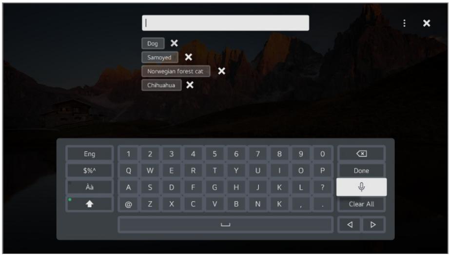 LG 55NANO81 - Using Speech to Text - 1