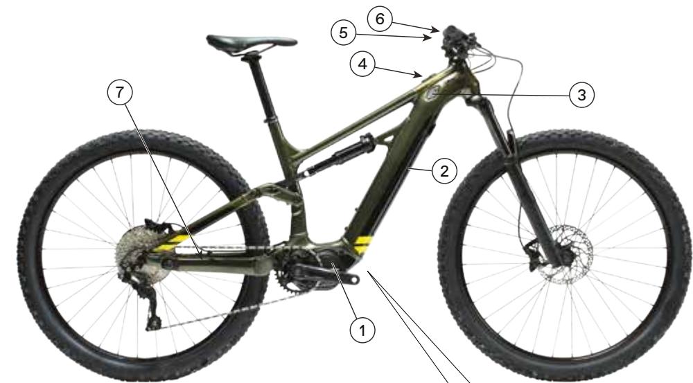 CANNONDALE MOTERRA NEO - Informations techniques - 1