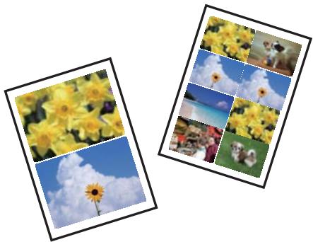 EPSON XP 5155 - Impression de différentes dispositions - 1
