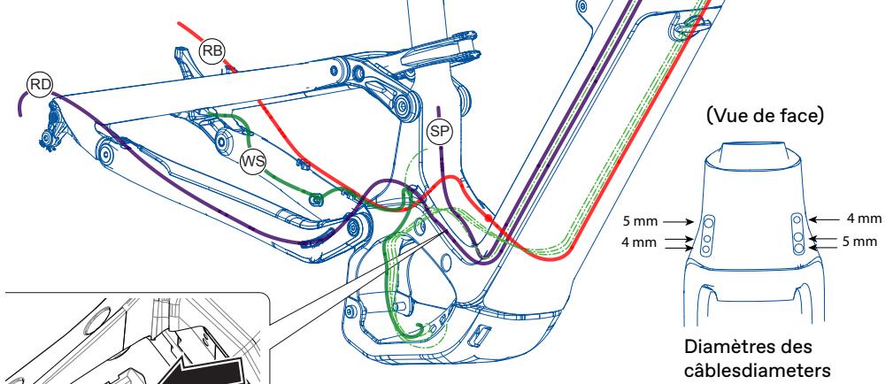 CANNONDALE HABIT NEO - Identification - 1